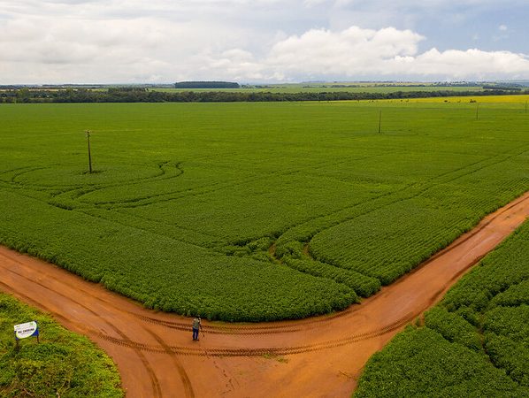 Brasil é o país com mais áreas que ainda podem ser usadas pelo agronegócio