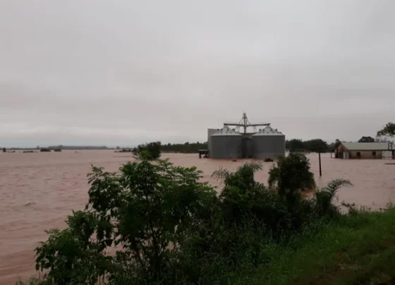 Agronegócio gaúcho ainda não consegue mensurar tamanho dos prejuízos causados pela chuvarada