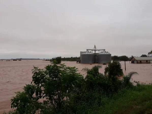 Agronegócio gaúcho ainda não consegue mensurar tamanho dos prejuízos causados pela chuvarada