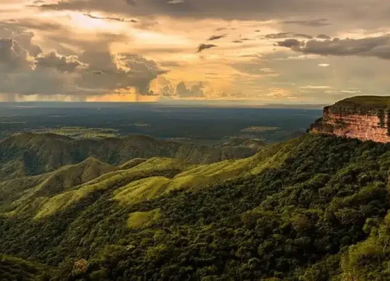 Novo contrato privado revitaliza Parque Nacional em Mato Grosso