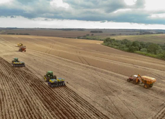 Compra de insumos agrícolas em ritmo lento: Especialista alerta para atrasos, principalmente em fosfatados