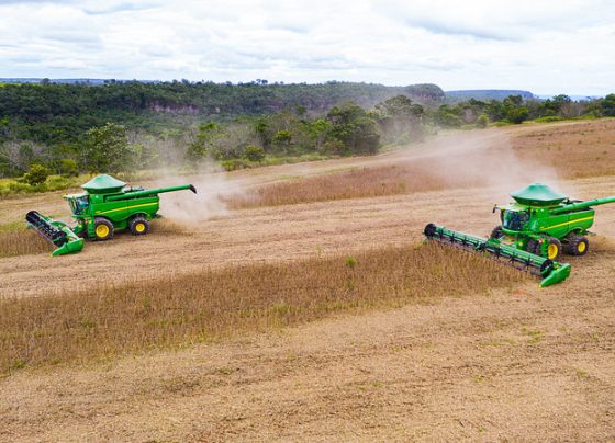 Falta de chuvas faz Mato Grosso ter a menor produtividade dos últimos cinco anos, diz Imea