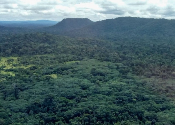 Funai deve apresentar plano para proteger terras indígenas em Mato Grosso e outros estados