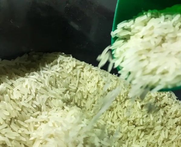 Governo libera mais R$ 6,7 bi para garantir arroz a preço justo no prato - Conab/arquivo