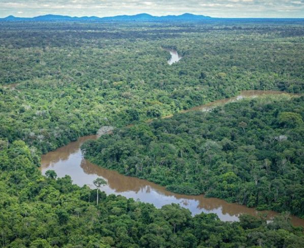 AGU processa infratores ambientais em Mato Grosso Felipe Werneck/Ibama