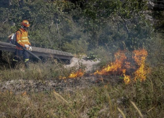 Bombeiros realizam queima prescrita para preservação do Cerrado em Chapada dos Guimarães