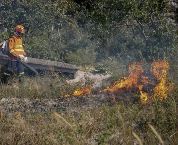 Bombeiros realizam queima prescrita para preservação do Cerrado em Chapada dos Guimarães