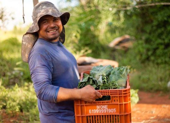 Consea comemora avanços no Plano Nacional de Abastecimento Alimentar -