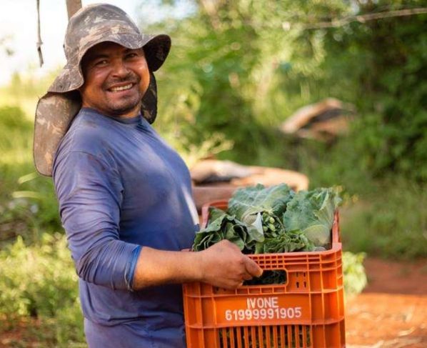 Consea comemora avanços no Plano Nacional de Abastecimento Alimentar -