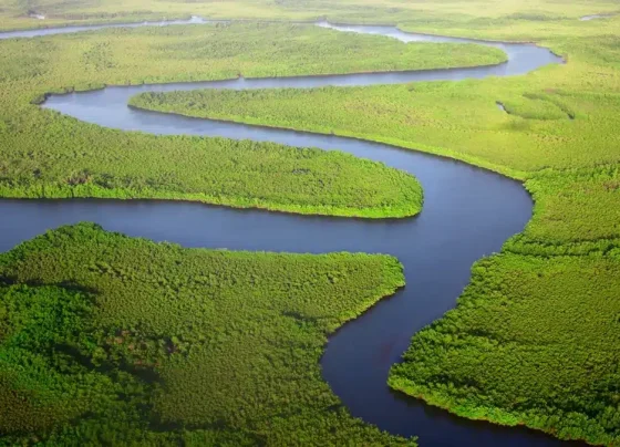 Deputados criticam falhas na proteção ambiental de Mato Grosso durante semana do meio ambiente