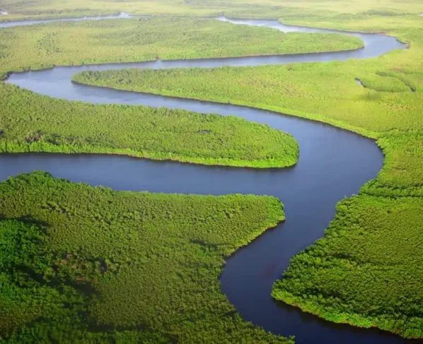 Deputados criticam falhas na proteção ambiental de Mato Grosso durante semana do meio ambiente