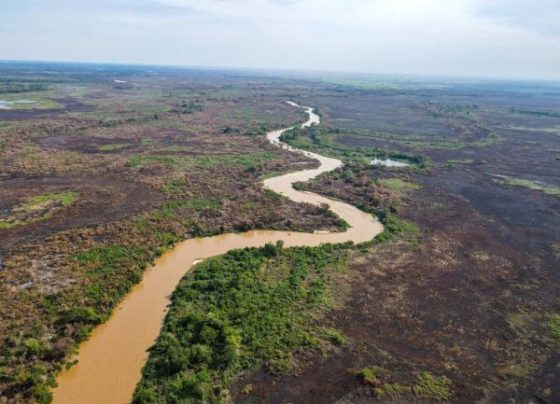 Entidades pedem ajuda internacional para combater incêndios no Pantanal de Mato Grosso