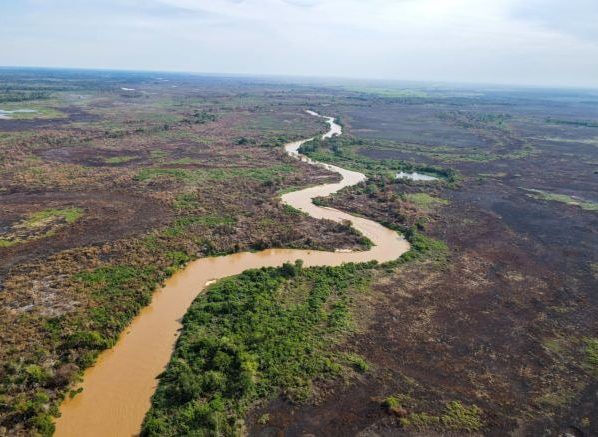 Entidades pedem ajuda internacional para combater incêndios no Pantanal de Mato Grosso