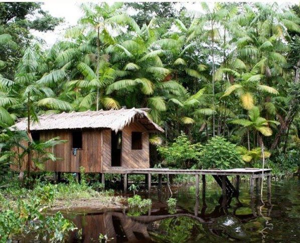 Floresta+ Amazônia vai remunerar famílias de assentamentos com redução no desmatamento - Foto: Divulgação/Incra