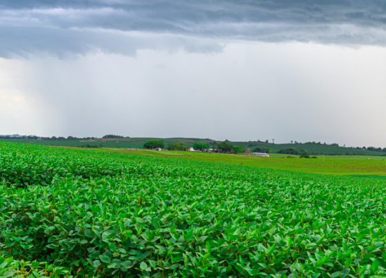 Inmet divulga dados que mostram o enfraquecimento do El Niño - Foto: Divulgação