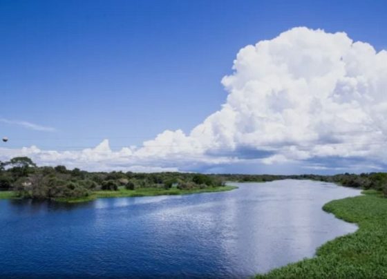 MP de Mato Grosso firma acordo para reparação de danos ambientais em Pontes e Lacerda