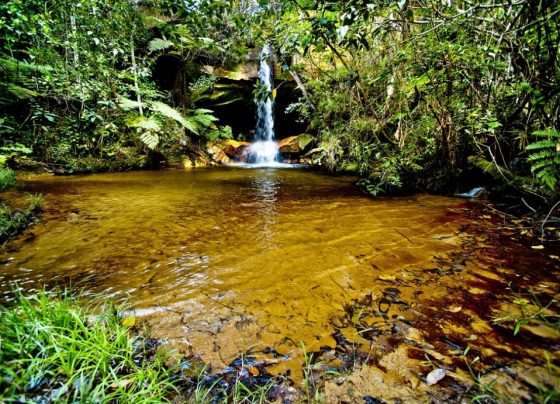 Pesquisadores da UFMT desenvolvem ferramenta inovadora para monitoramento de nascentes do Cerrado