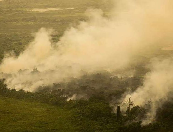 ‘Queima controlada’ para pasto ou cultivos no Pantanal será tratada como crime - Foto: Joédson Alves/ Agência Brasil