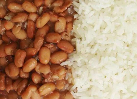 Arroz da Gente: Governo Federal lança apoio à produção da agricultura familiar - Arquivo EBC