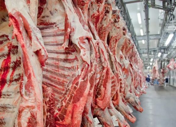 Crescimento do consumo de carne suína em Mato Grosso ultrapassa 200% em 20 anos