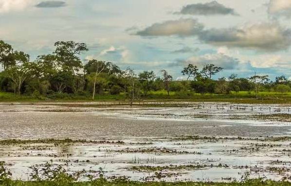 Nível do Rio Paraguai em Mato Grosso atinge recorde negativo