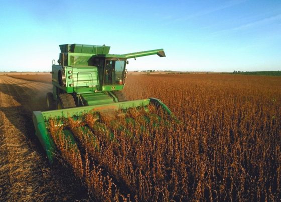 02 exportações agro crescem 41 em um ano Foto Ministério da Agricultura Pecuária e Abastecimento Governo do Brasil