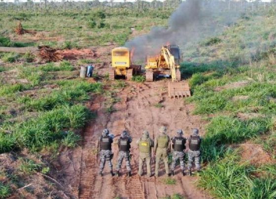 Justiça derruba lei que protegia criminosos ambientais em Mato Grosso