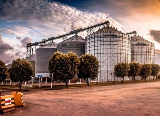 Agroindústria impulsiona geração de empregos em Lucas do Rio Verde e outras cidades de Mato Grosso