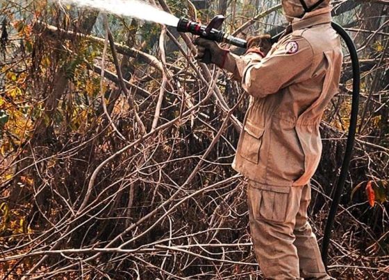 Bombeiros combatem incêndio em terreno baldio próximo ao Fórum de Cuiabá