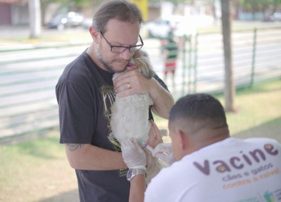 vacinacao antirrabica em lucas do rio verde ultrapassa meta vacinal