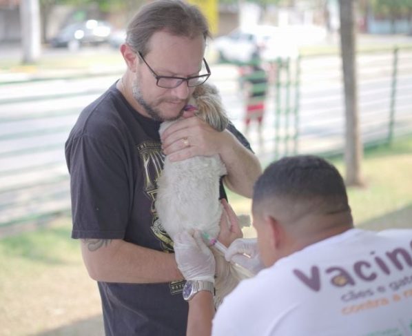 vacinacao antirrabica em lucas do rio verde ultrapassa meta vacinal