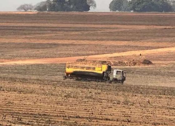 Funcionário morre ao combater incêndio em canavial na zona rural de Itiquira