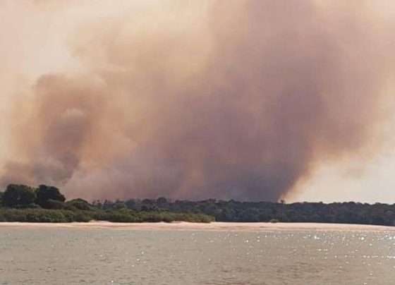 Incêndios devastam Terras Indígenas e Unidades de Conservação em Mato Grosso