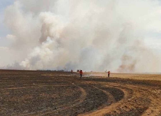 incêndios reacendem mitos sobre o agronegócio em Mato Grosso