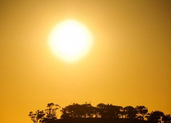 Mato Grosso agoniza sob a pior seca das últimas décadas