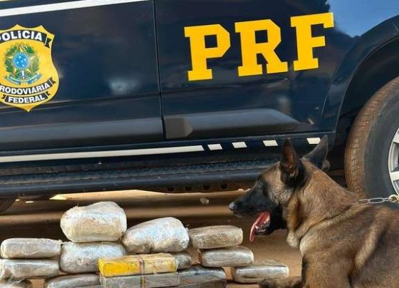 PRF apreende 18 kg de drogas em operação na região de Poxoréu, Mato Grosso