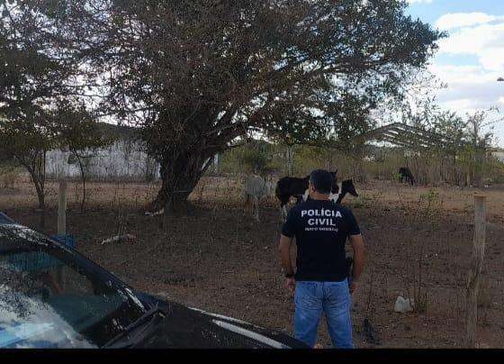 Polícia realiza operação contra maus-tratos a animais em Cuiabá e Várzea Grande