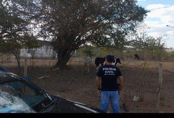 Polícia realiza operação contra maus-tratos a animais em Cuiabá e Várzea Grande