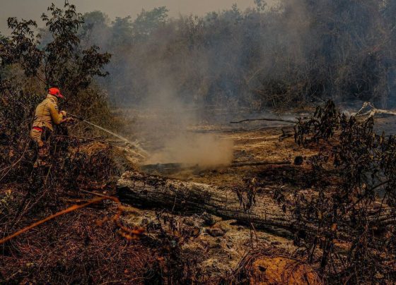 Ação humana intensifica as queimadas em Mato Grosso e coloca o meio ambiente em risco