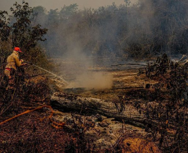 Ação humana intensifica as queimadas em Mato Grosso e coloca o meio ambiente em risco