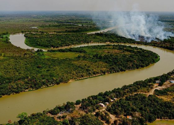 Bombeiros combatem 32 incêndios florestais em Mato Grosso nesta quarta-feira (18)