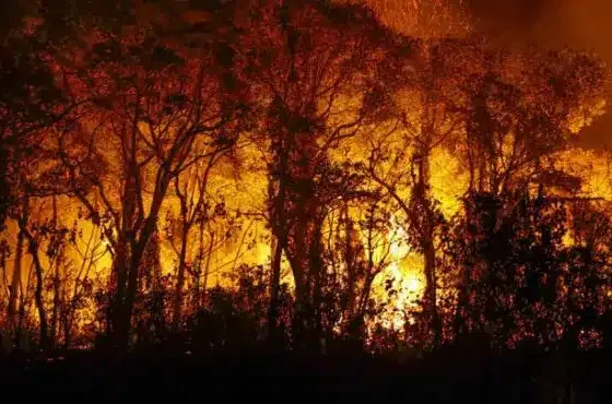 Bombeiros combatem incêndios em diversas regiões de Mato Grosso nesta quinta-feira (19)