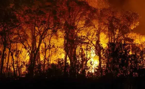 Bombeiros combatem incêndios em diversas regiões de Mato Grosso nesta quinta-feira (19)