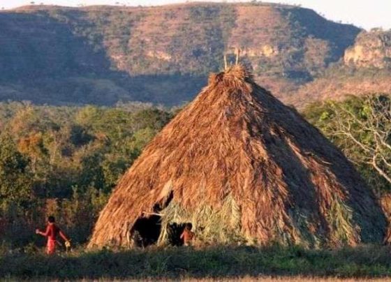 Demora na desintrusão de terra indígena gera tensão em Mato Grosso