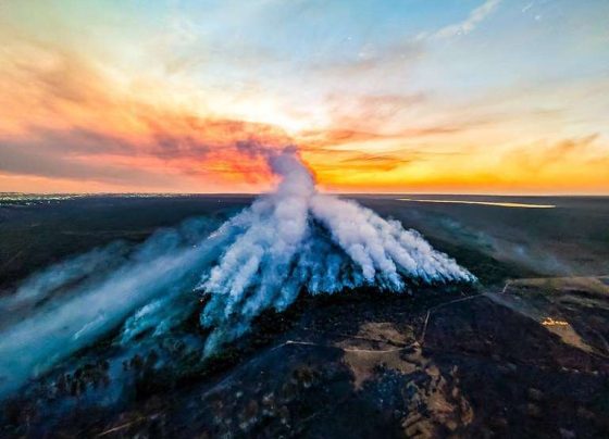 Governo e Polícia Federal intensificam investigações sobre incêndios criminosos - Ricardo Stuckert/PR