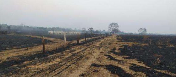 Grupo agropecuário é acusado de causar incêndio criminoso de grandes proporções em Mato Grosso