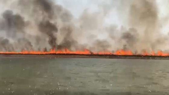 Incêndios devastam o Xingu e ameaçam povos indígenas de Mato Grosso