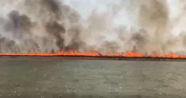 Incêndios devastam o Xingu e ameaçam povos indígenas de Mato Grosso