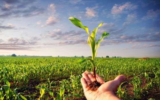 Mato Grosso apresenta potencialidades de investimentos no Fórum AgriFuture em São Paulo