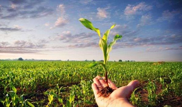 Mato Grosso apresenta potencialidades de investimentos no Fórum AgriFuture em São Paulo